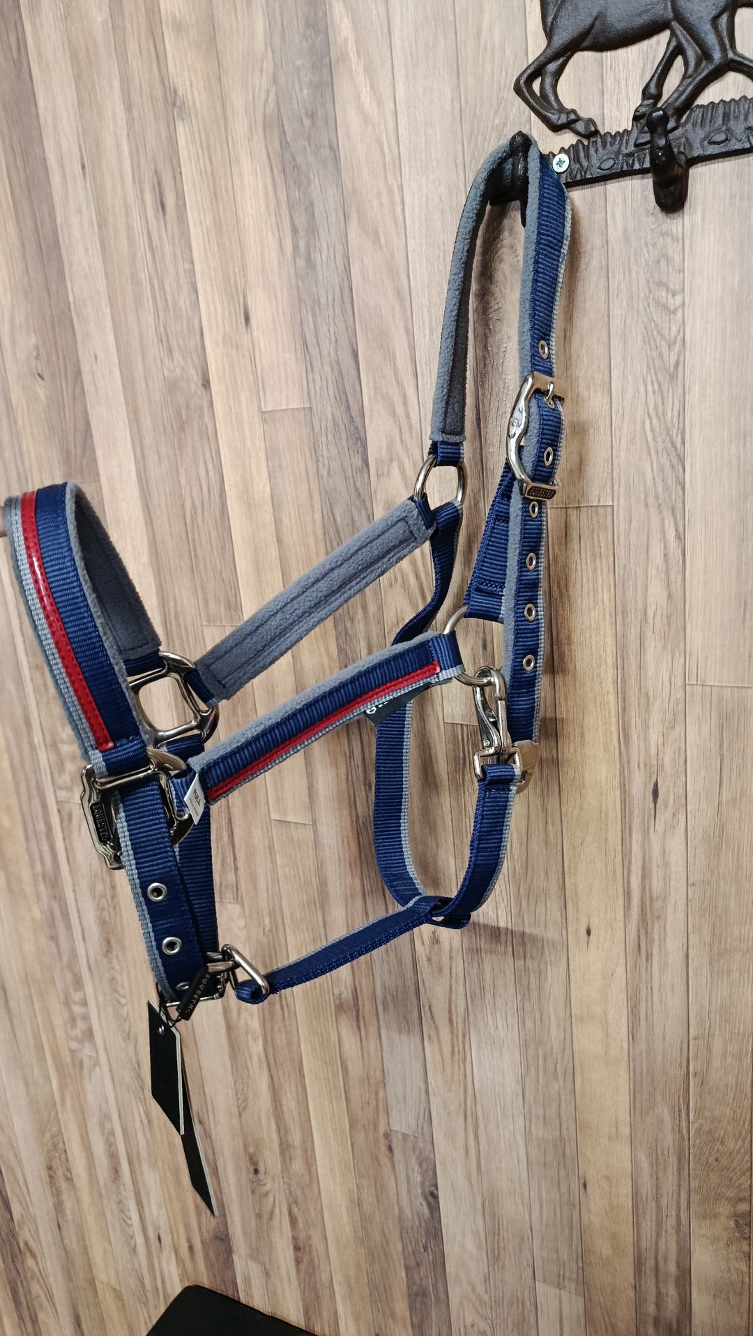 Licol cheval, média 2