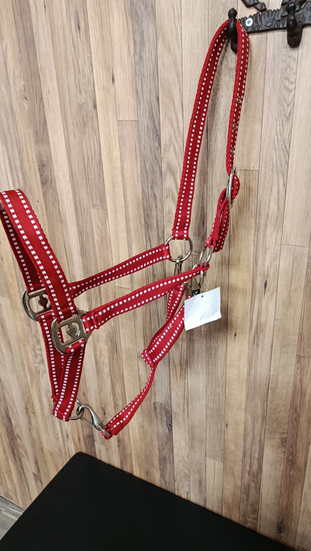 Licol cheval, média 2