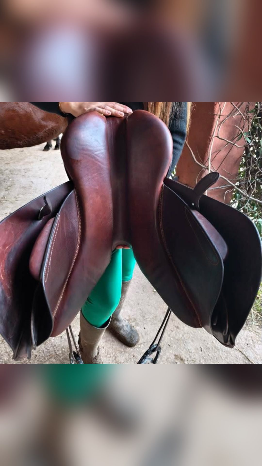Selle Forestier, média 3