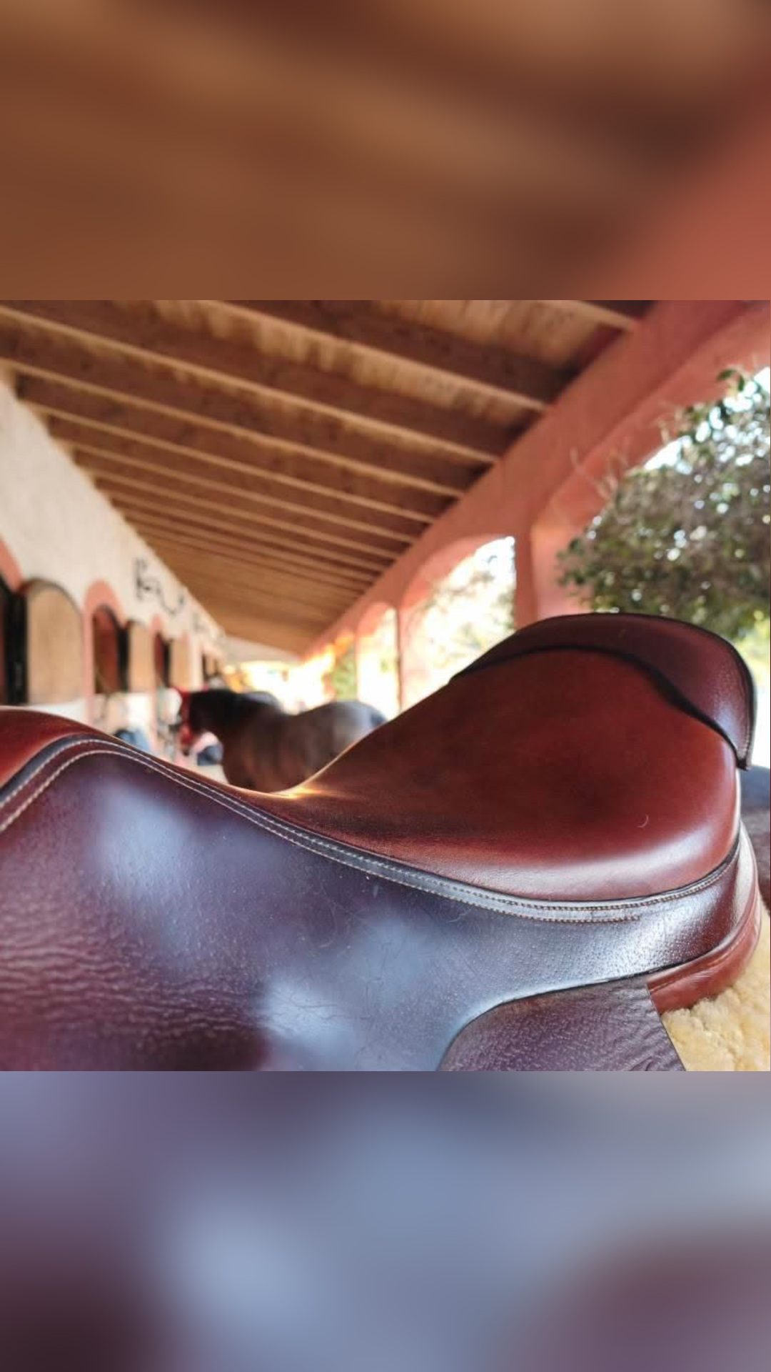 Selle Forestier, média 2