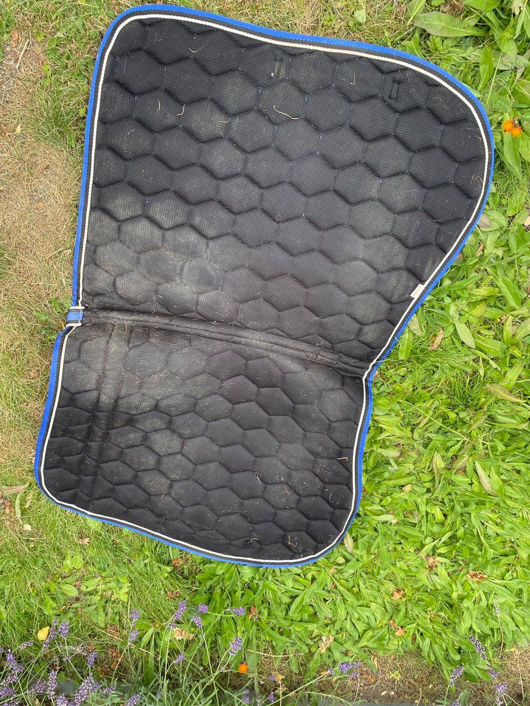 Tapis de selle, média 4