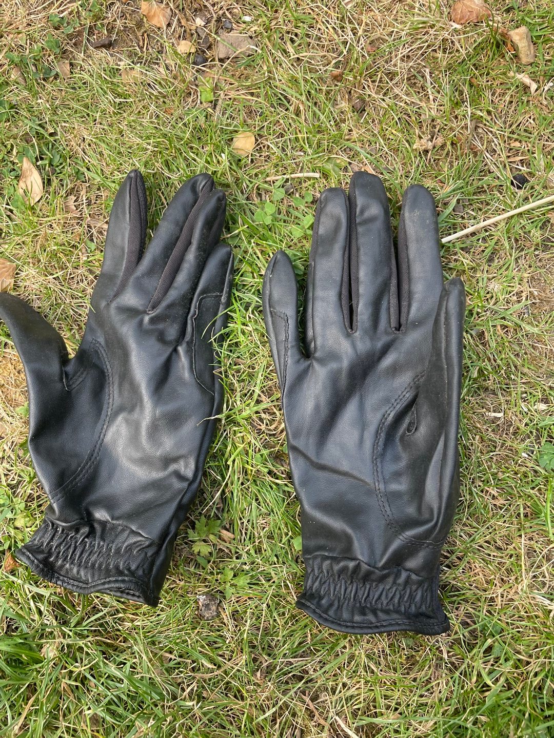 Gant d’été, média 3