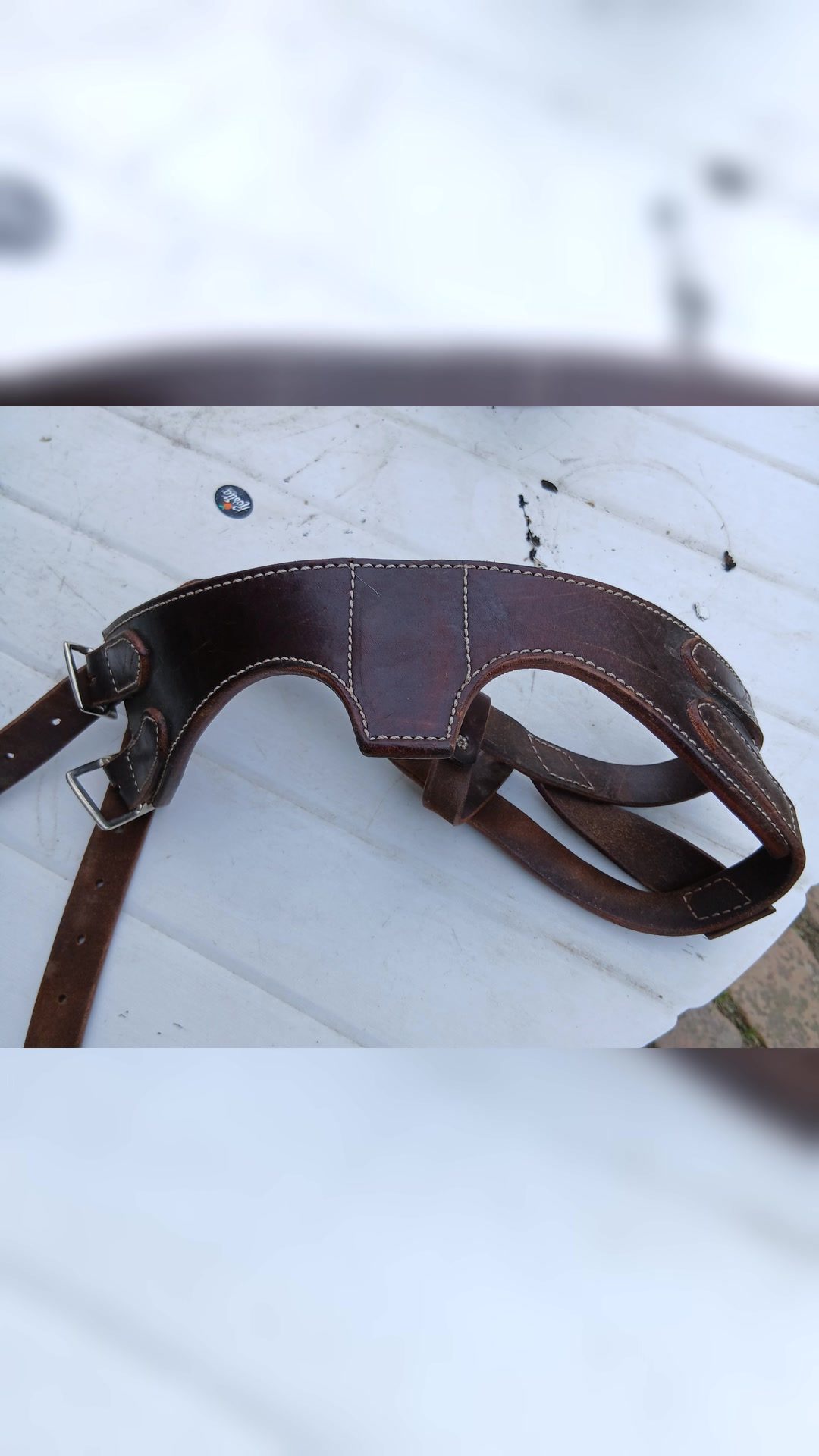 Collier anti tic, média 3
