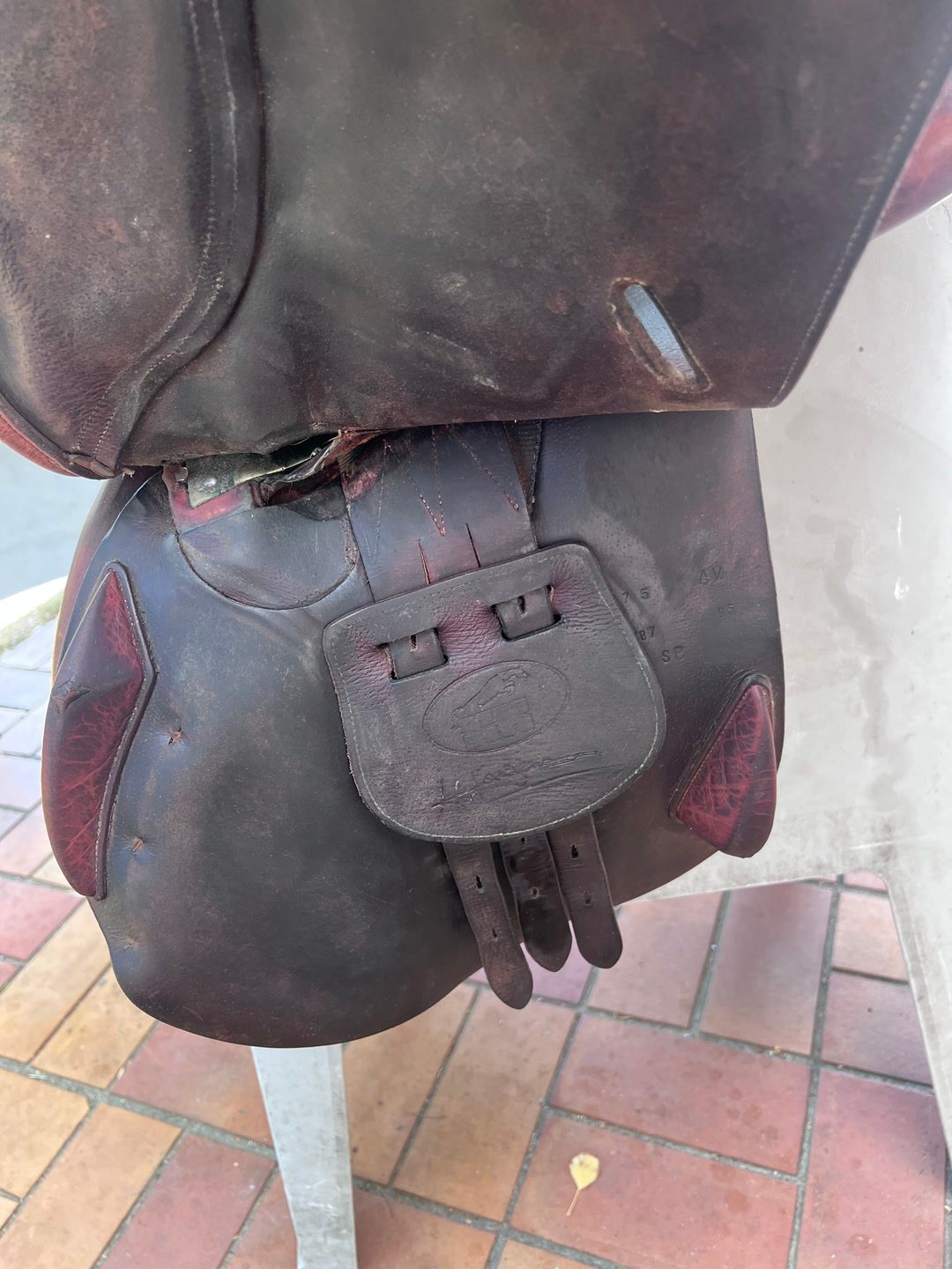 Selle Jumpin, média 5