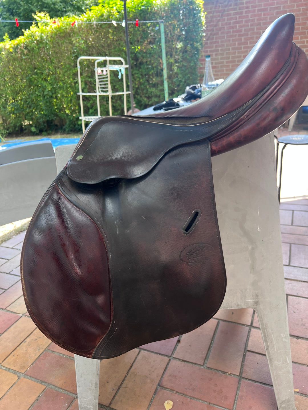 Selle Jumpin, média 2