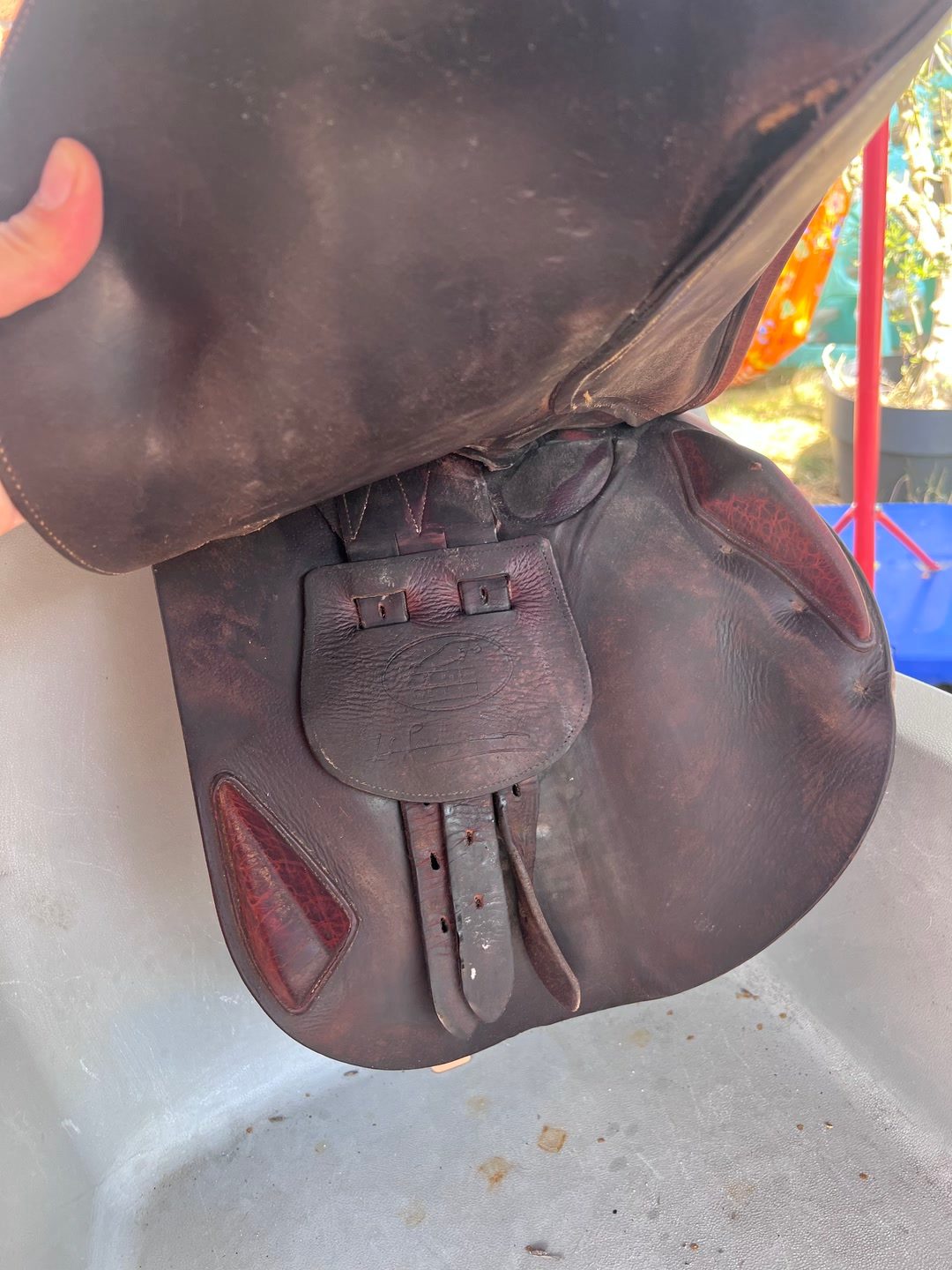 Selle Jumpin, média 6