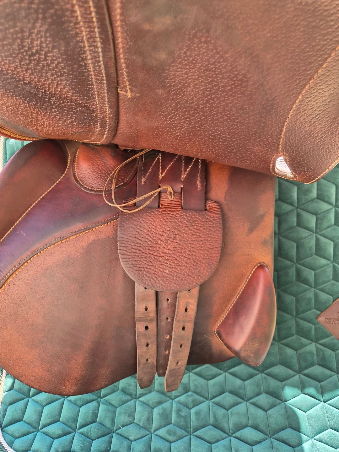 Selle Antarès 17.5", média 6