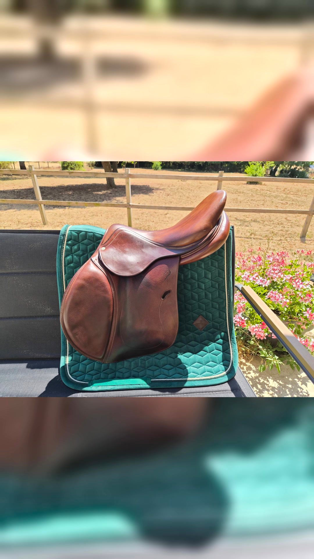 Selle Antarès 17.5", média 2