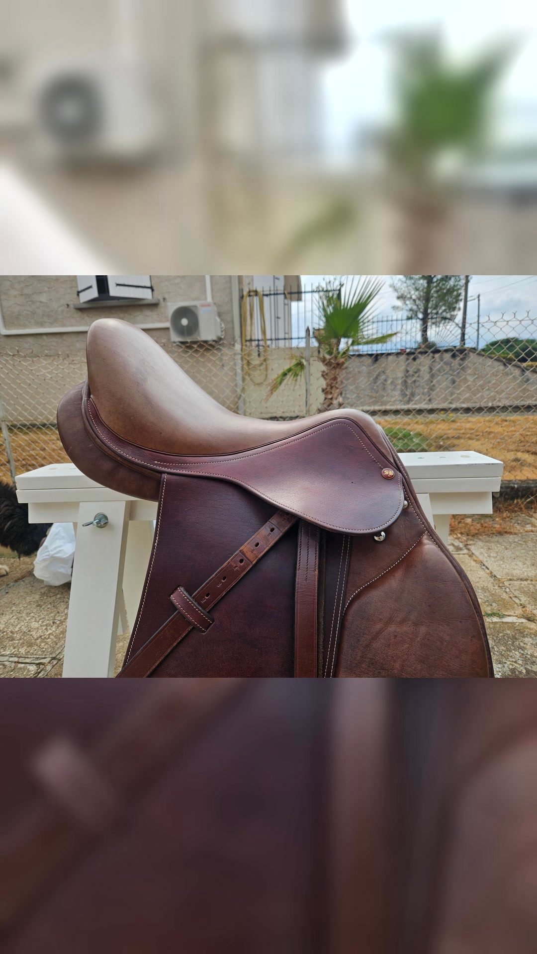 Selle mixte Éric Thomas, média 3
