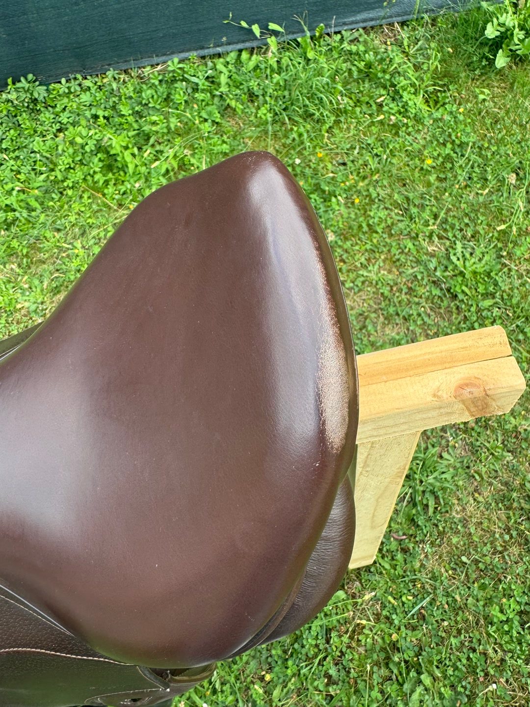Selle fouganza Roméo, média 3