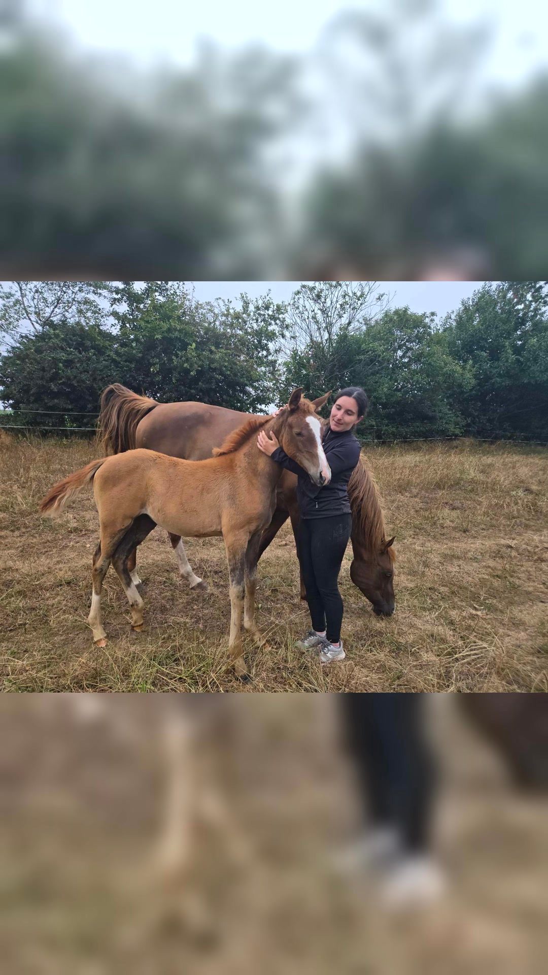 QADIRA KERKALIFT, média 4