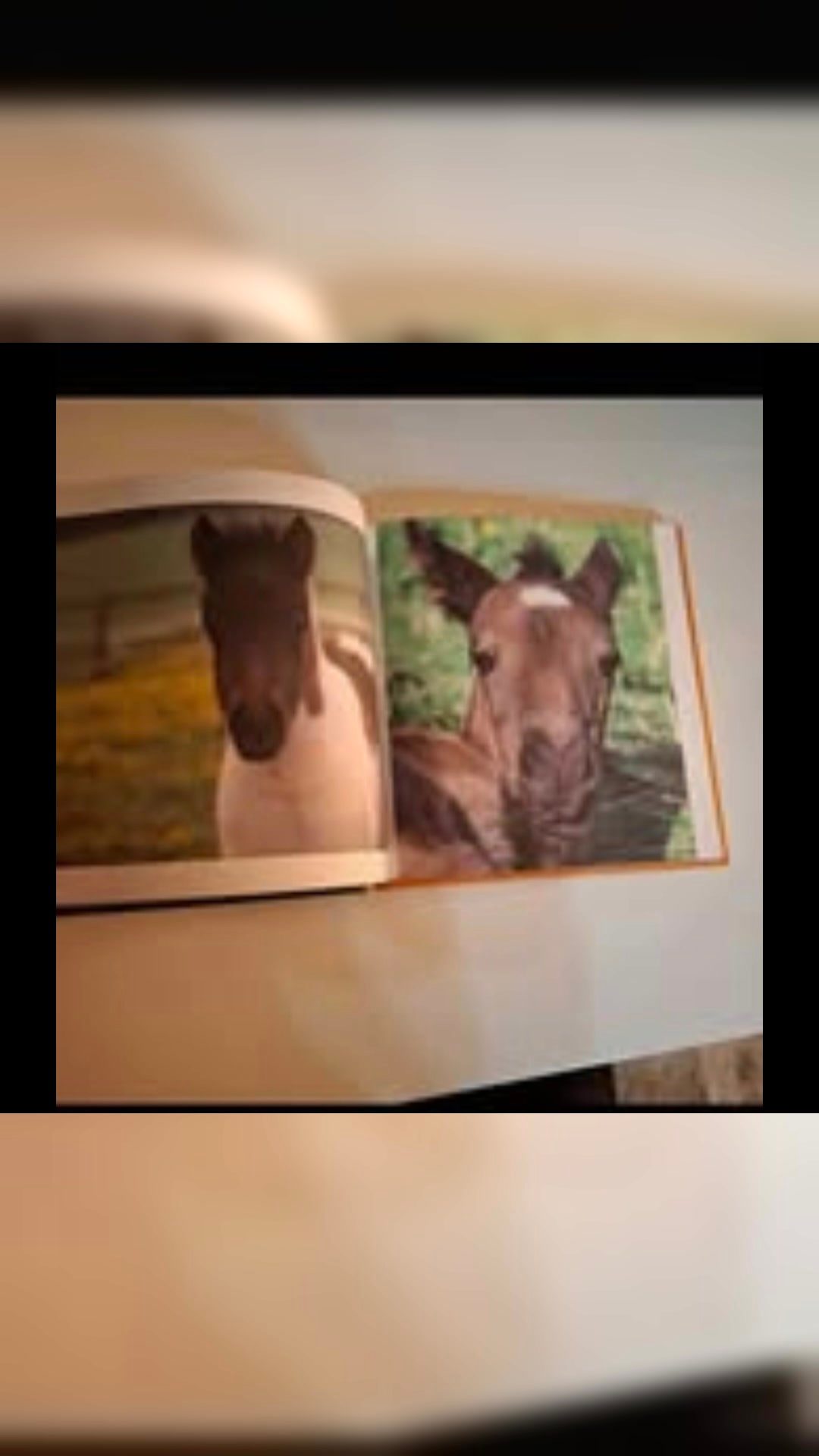 Livre les plus beaux chevaux, média 4