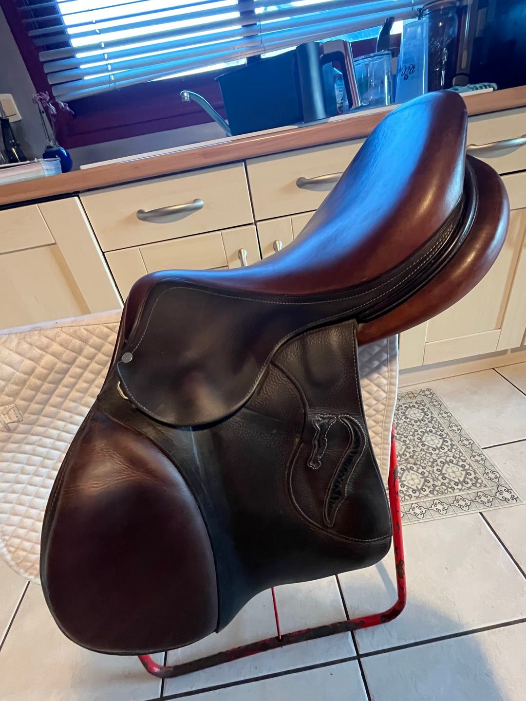 Selle antarès, média 6