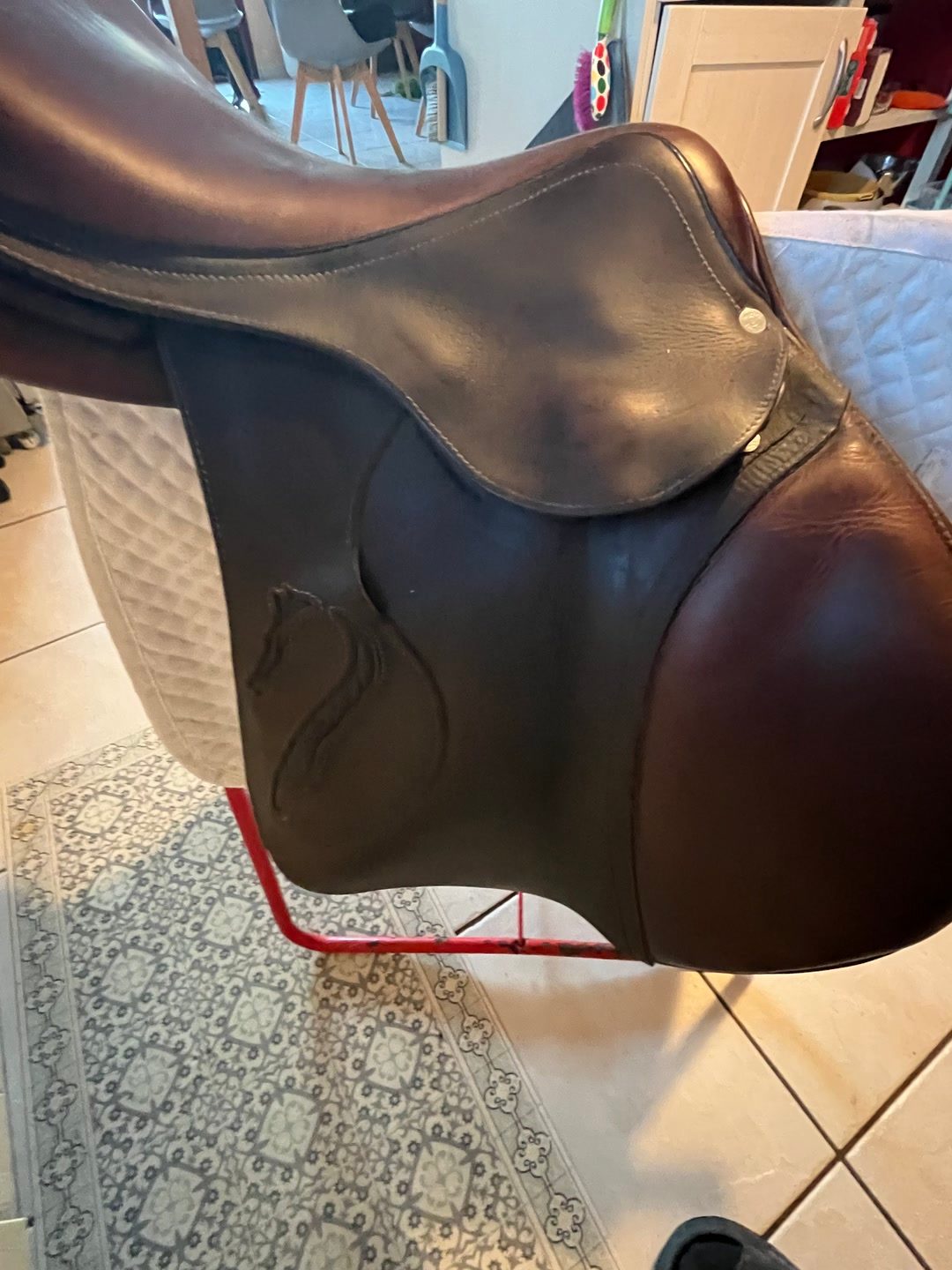 Selle antarès, média 3