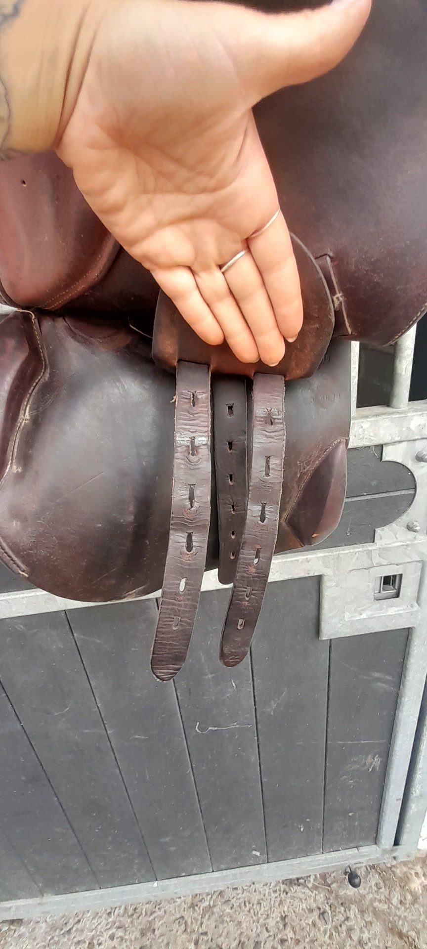 Selle Henry de rivel, média 4