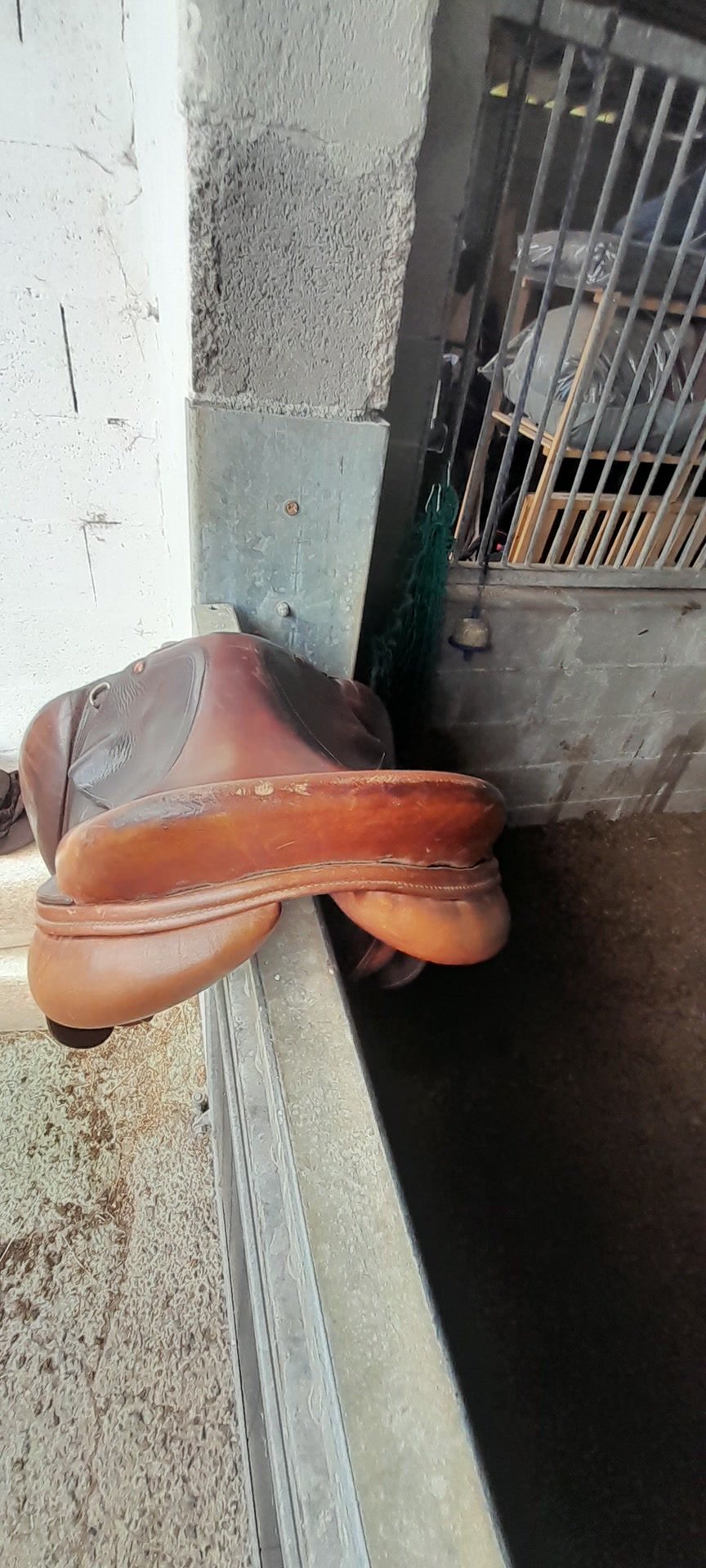 Selle Henry de rivel, média 6