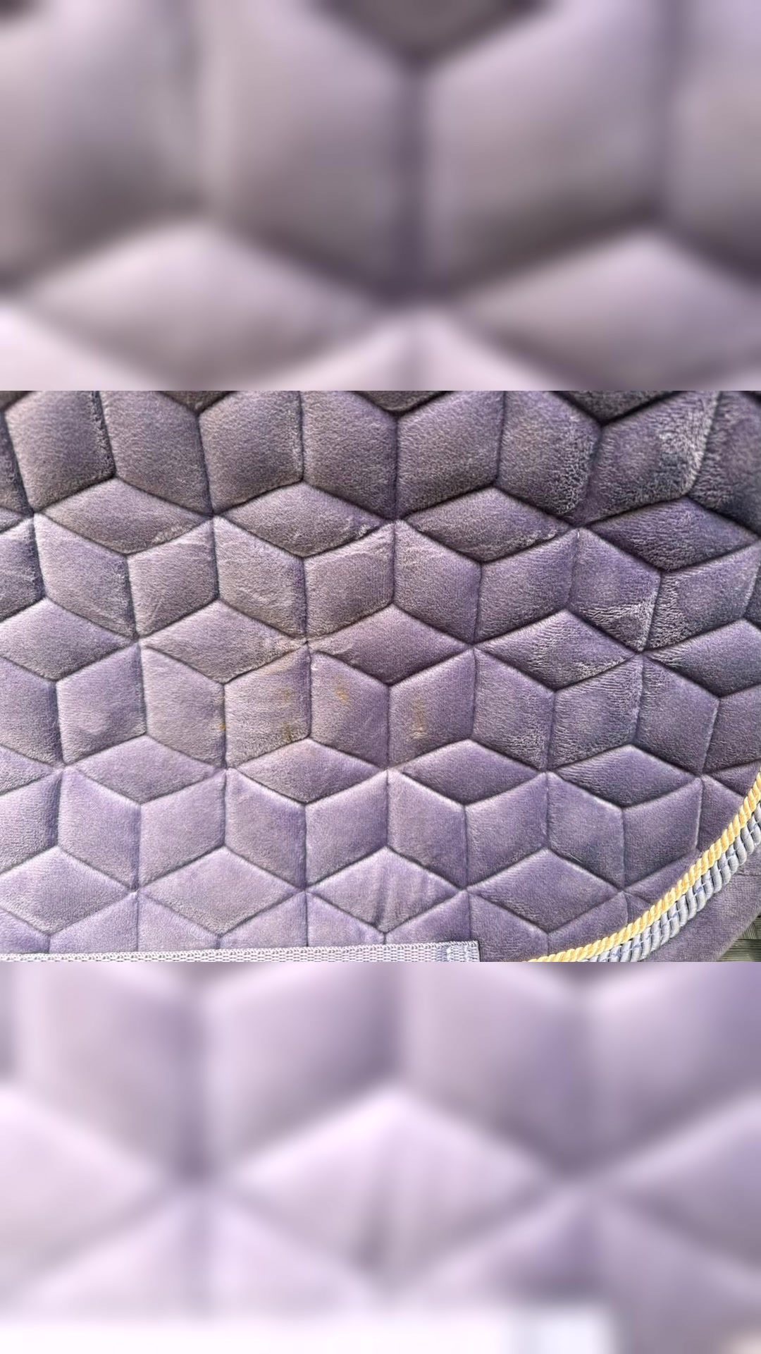 Tapis Kentucky, média 2