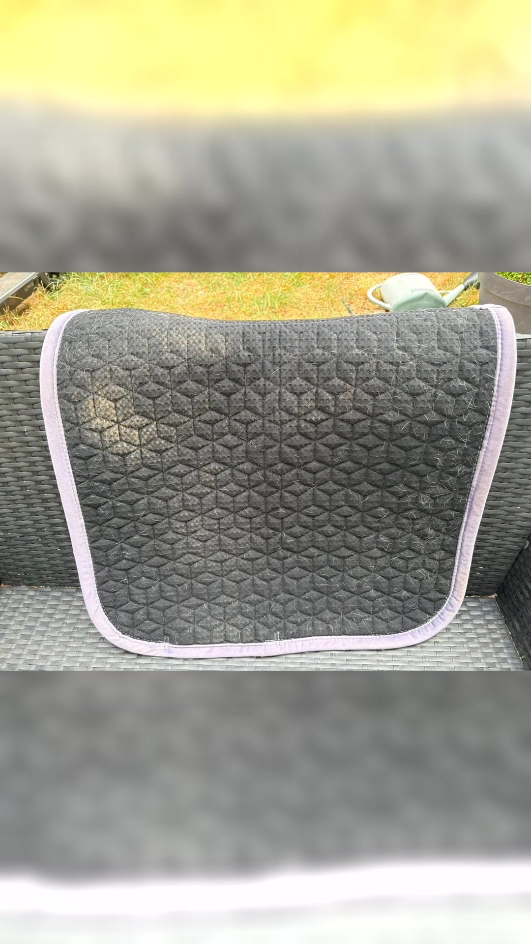 Tapis Kentucky, média 5