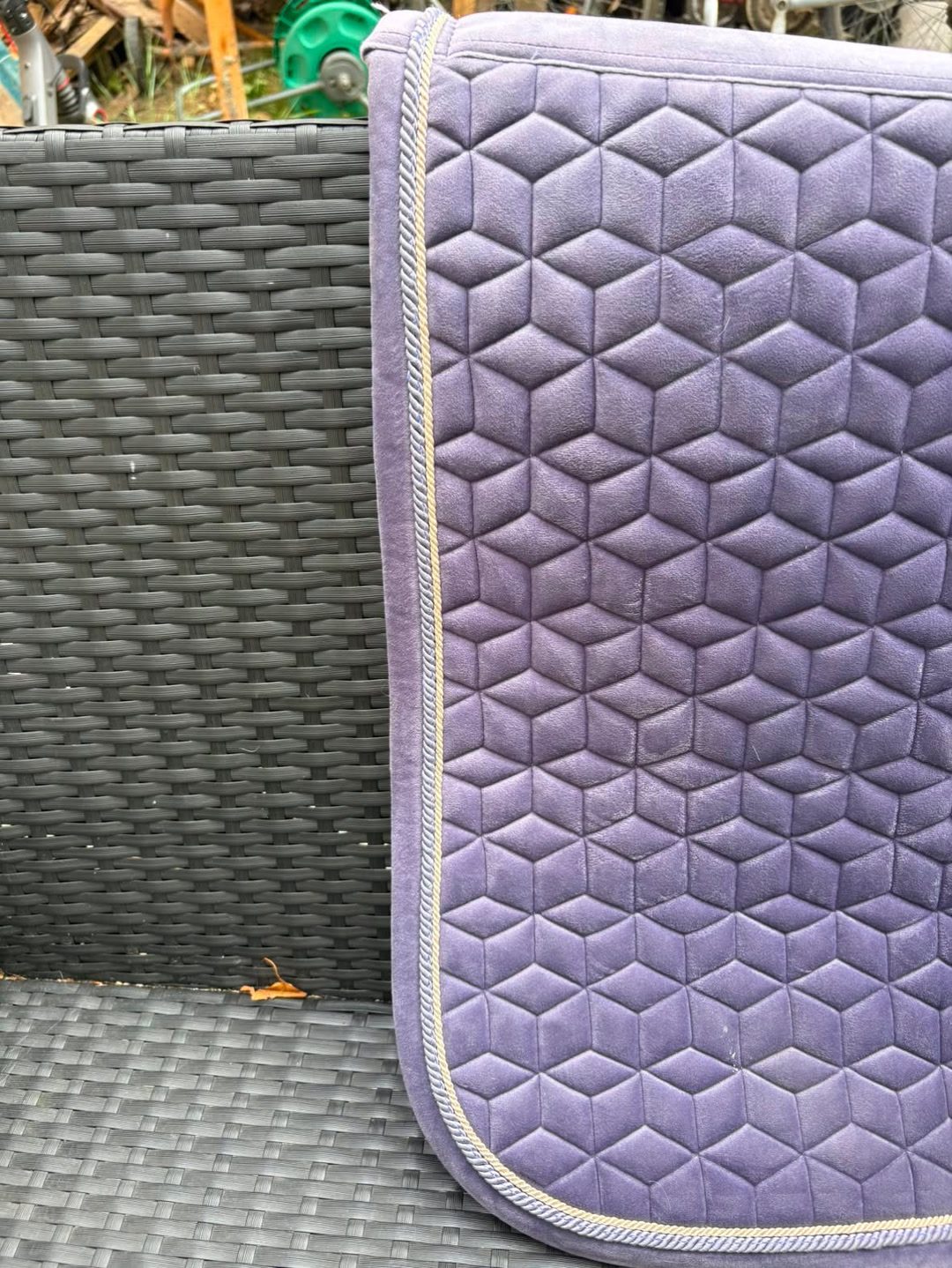 Tapis Kentucky, média 4
