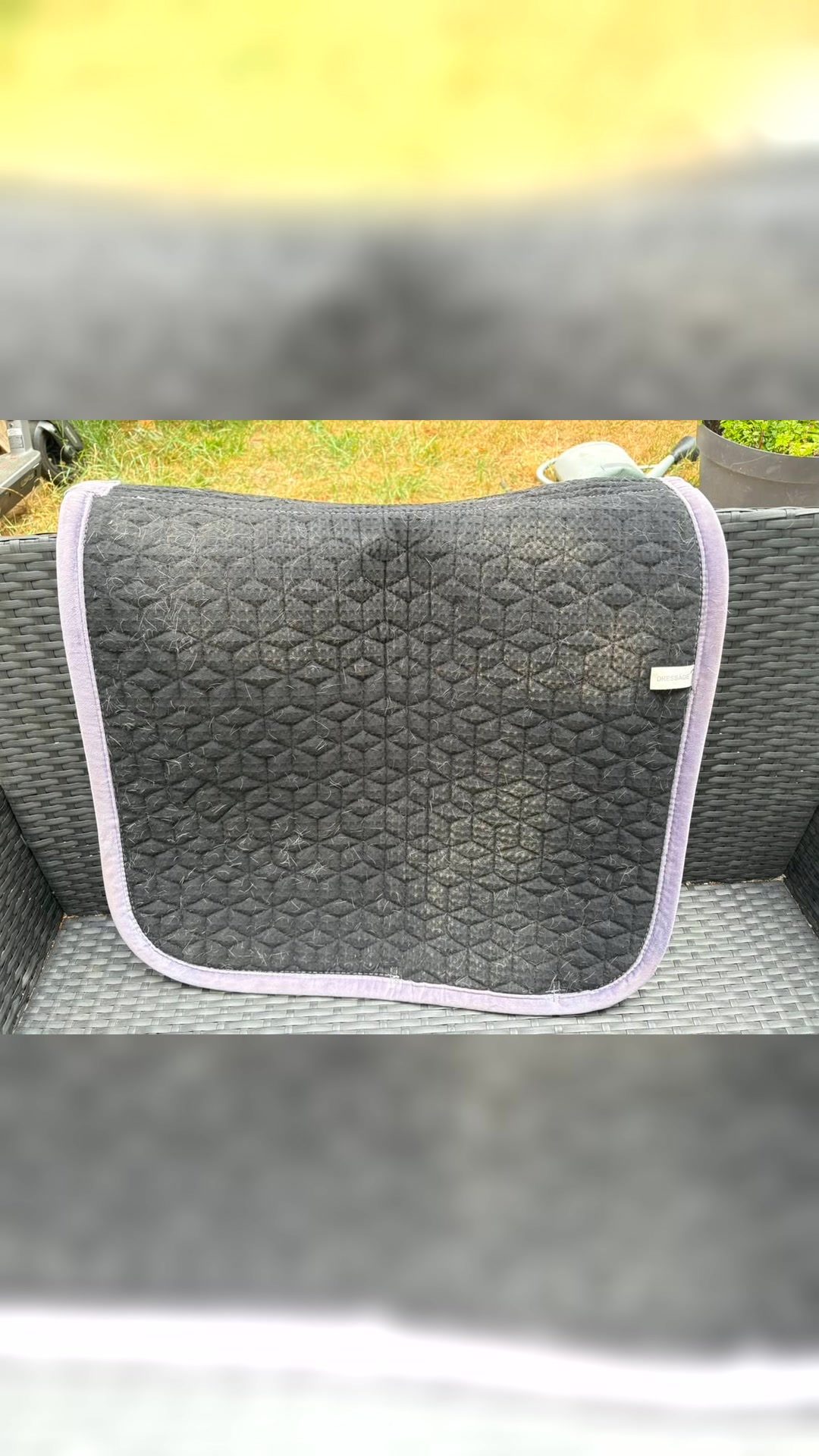 Tapis Kentucky, média 6