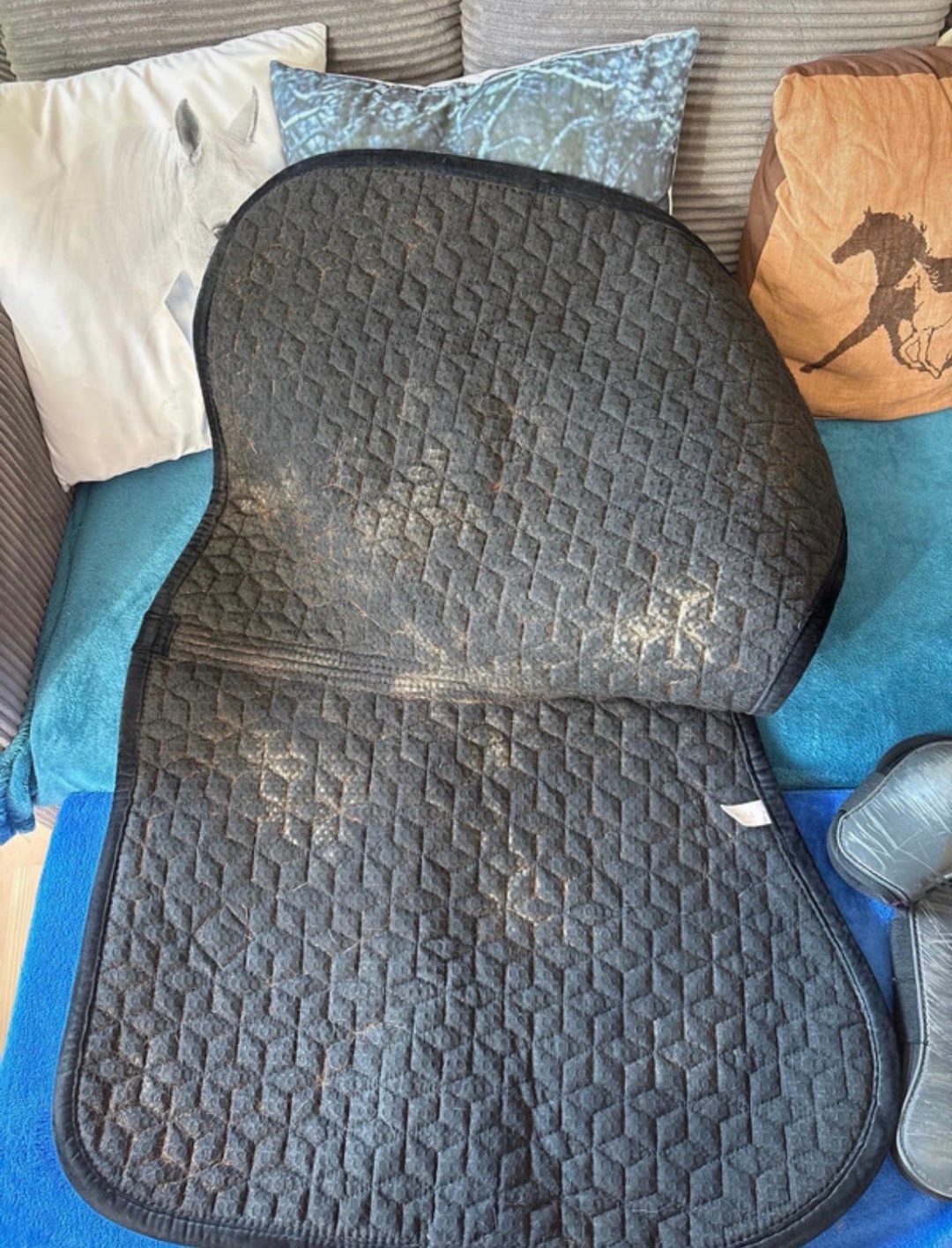 Tapis kentuky et guetre, média 7