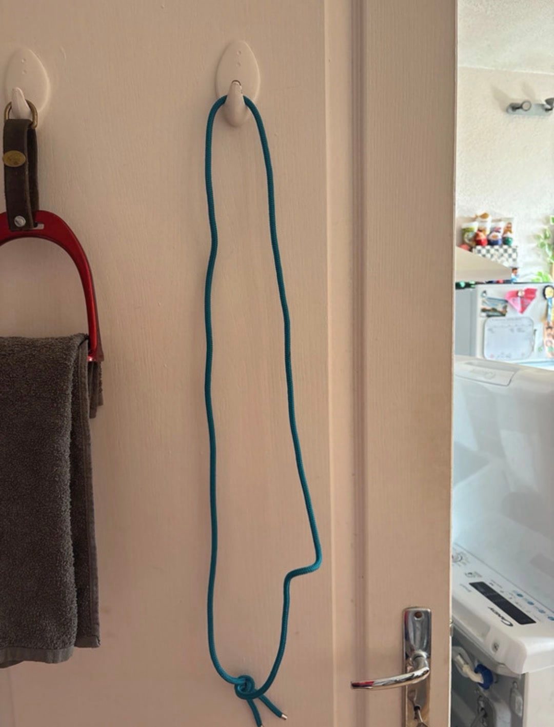 Licol éthologique, média 6