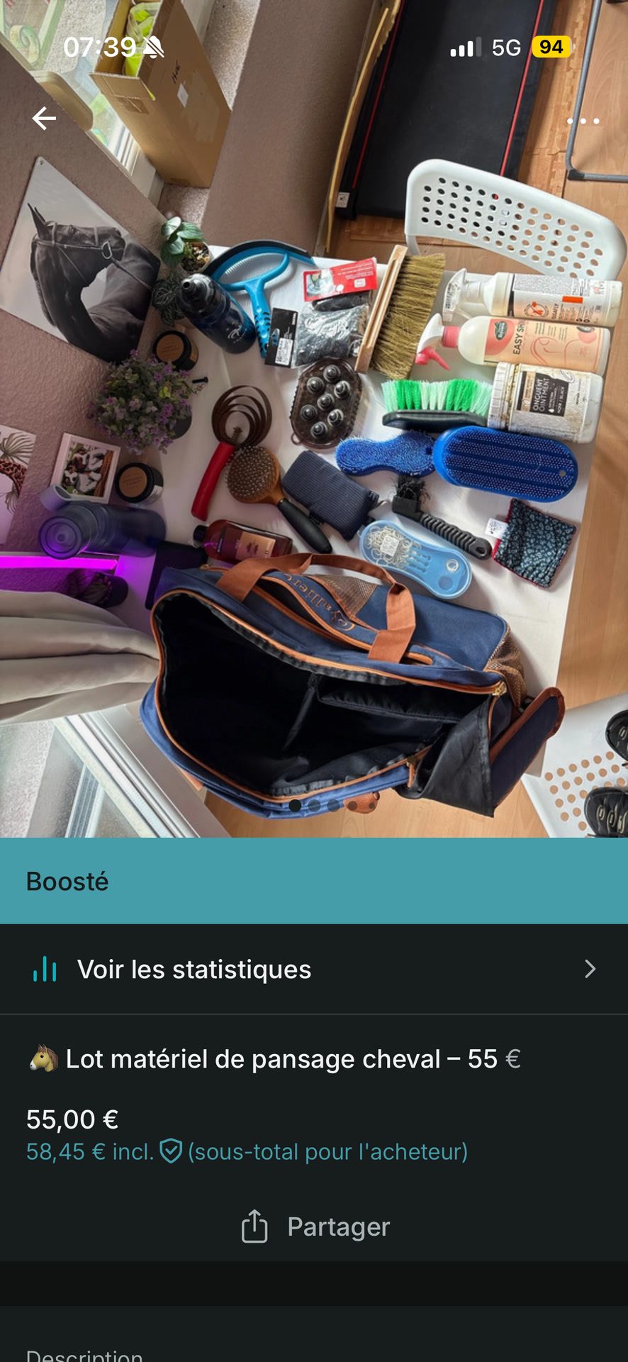 Brosse cheval plus sac, média 10