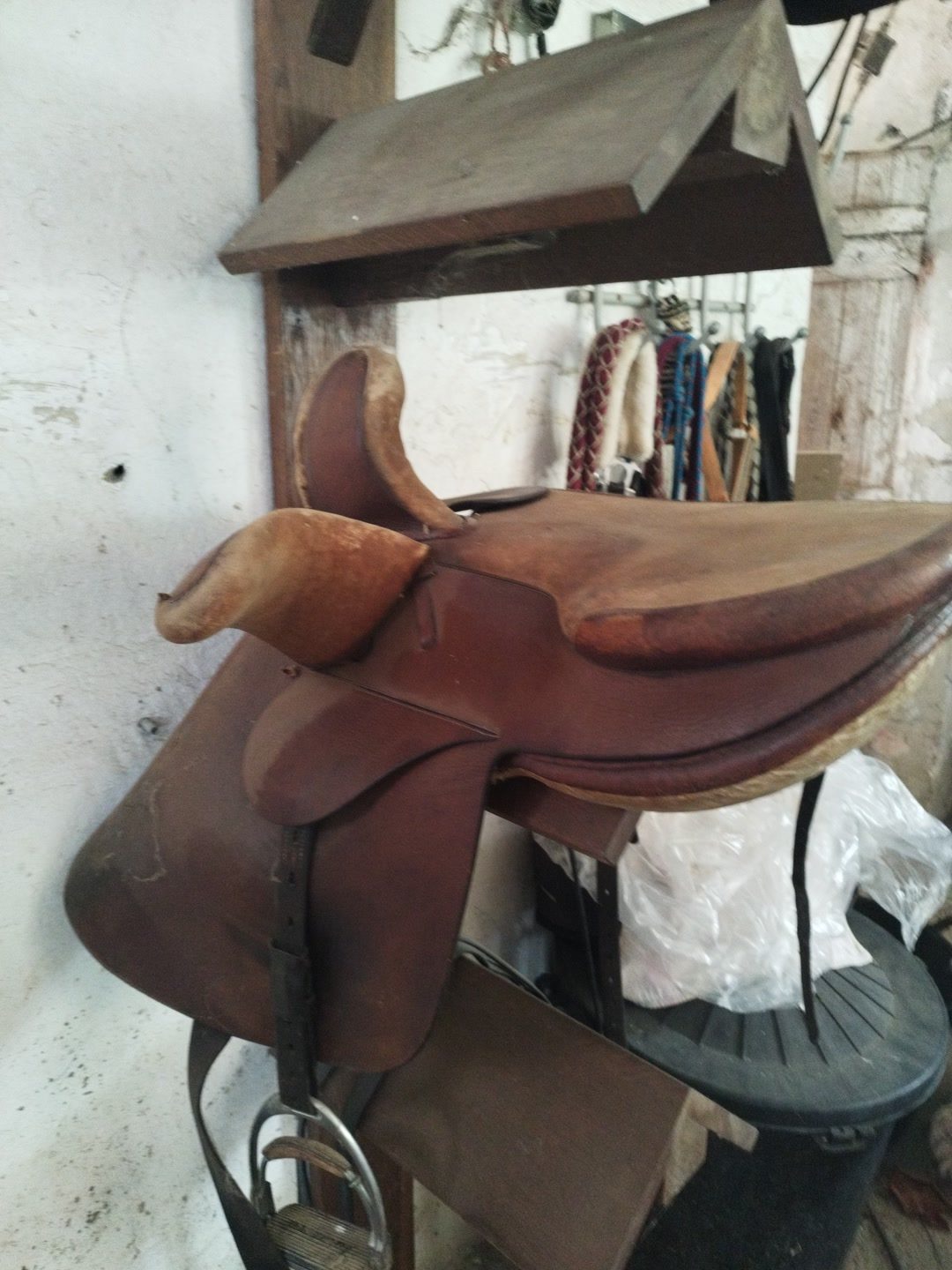 Selle d' amazone, média 2