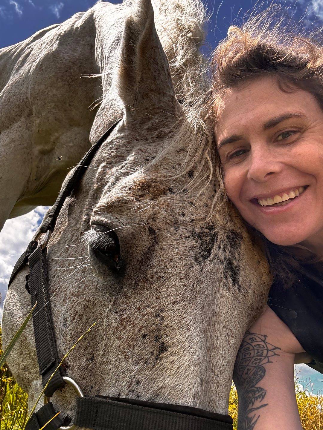 Visites, soins et présence pour votre cheval, média 6