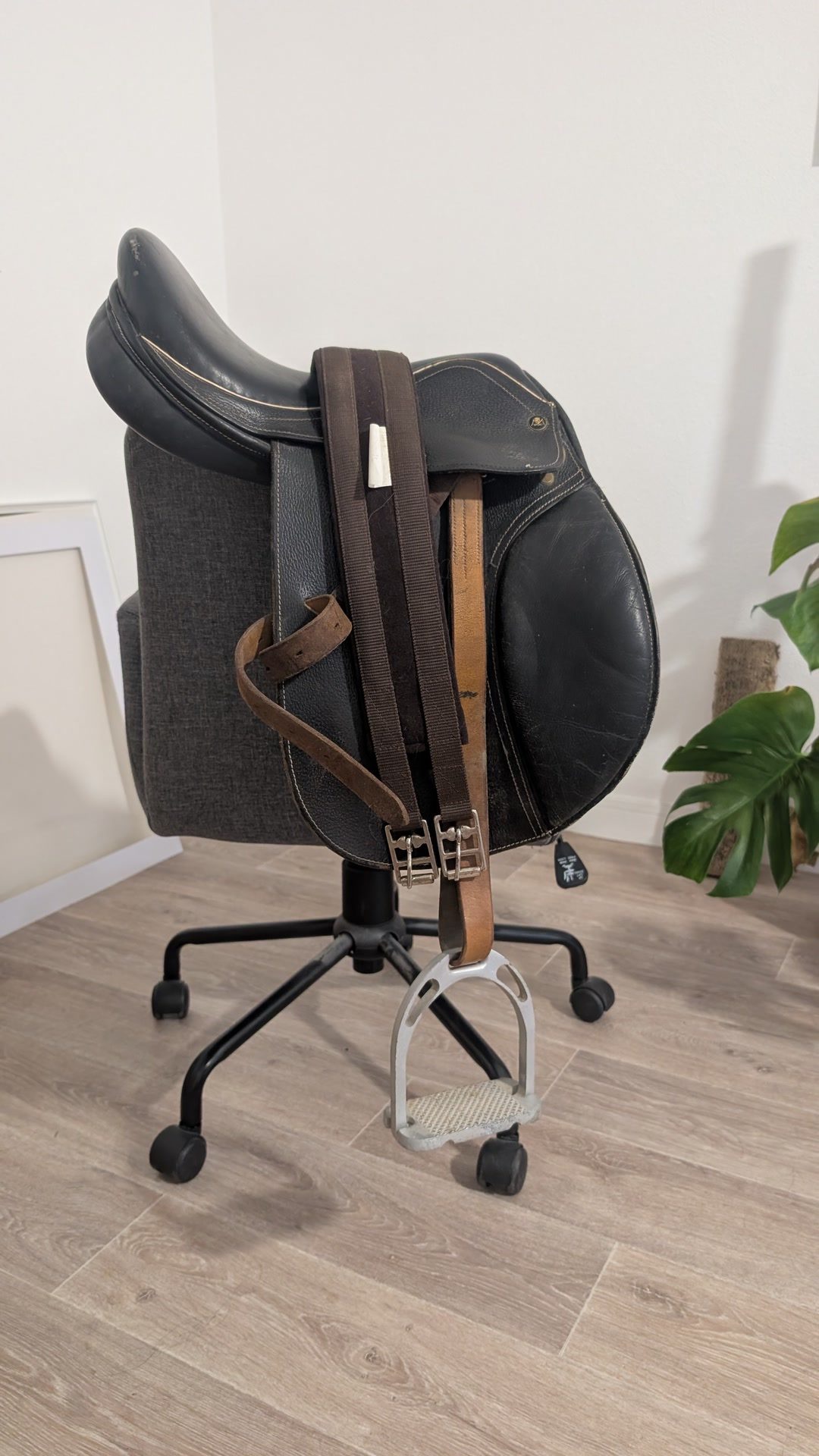 Selle Eric mondange 15 pouces, média 3
