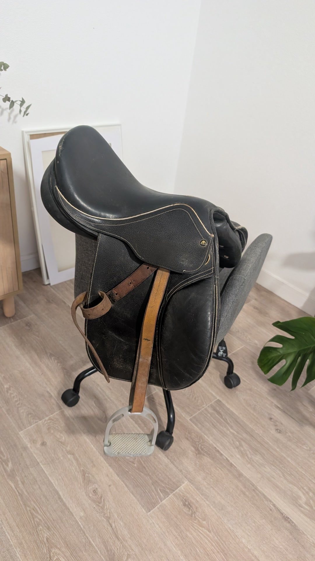 Selle Eric mondange 15 pouces, média 2