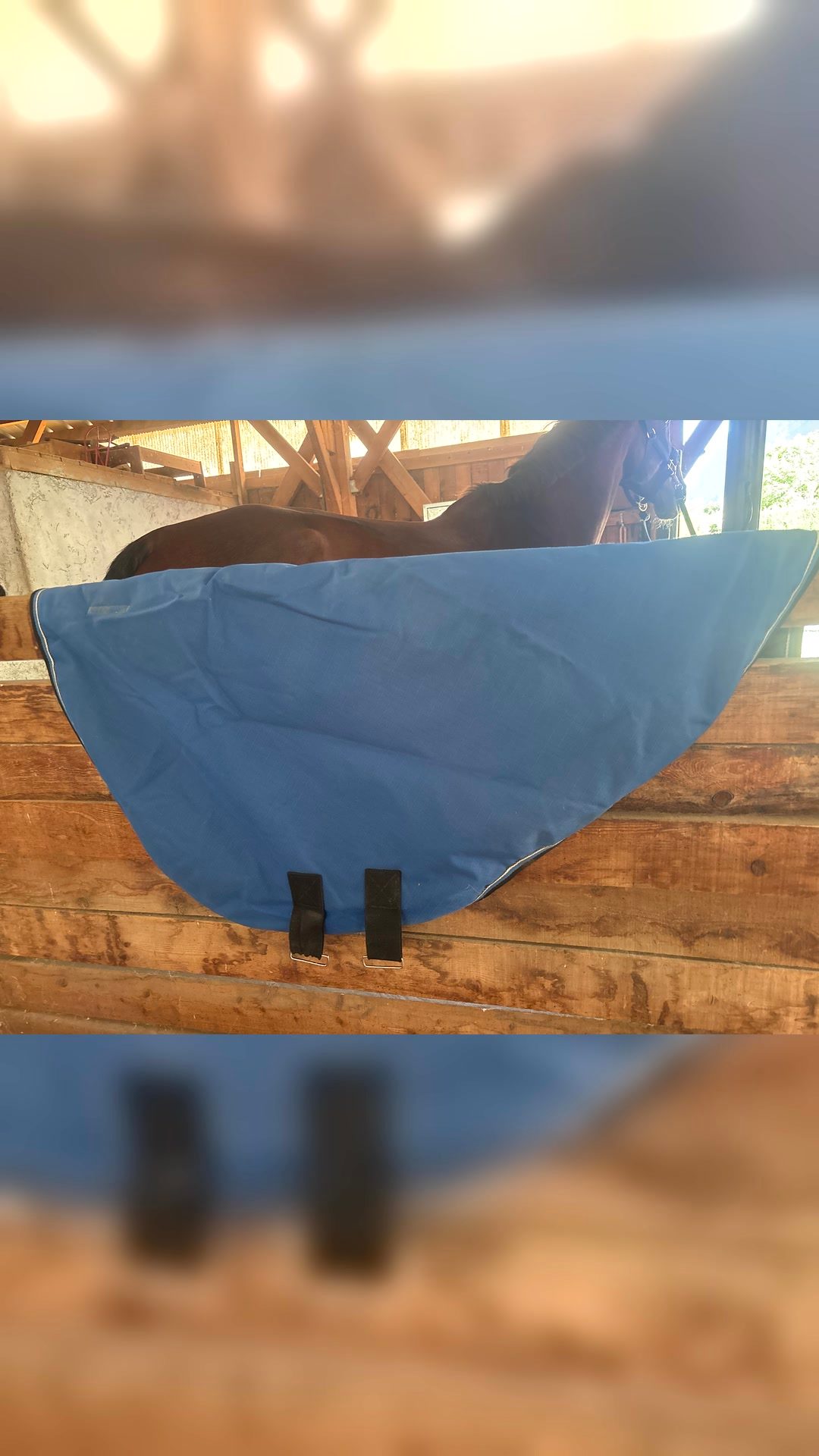 Couvre coup equitheme imperméable, média 4