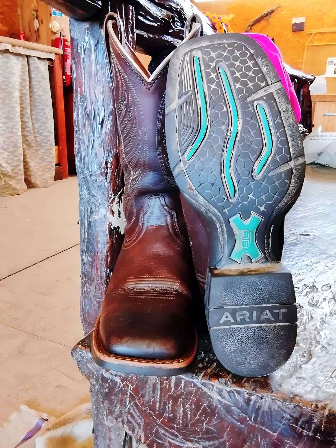 Bottes western Ariat, média 2