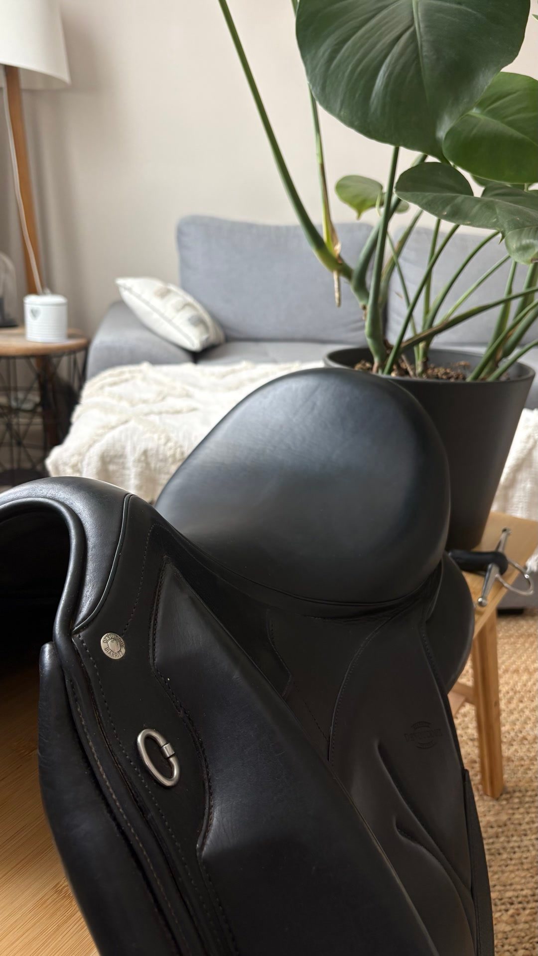 Selle Devoucoux, média 4