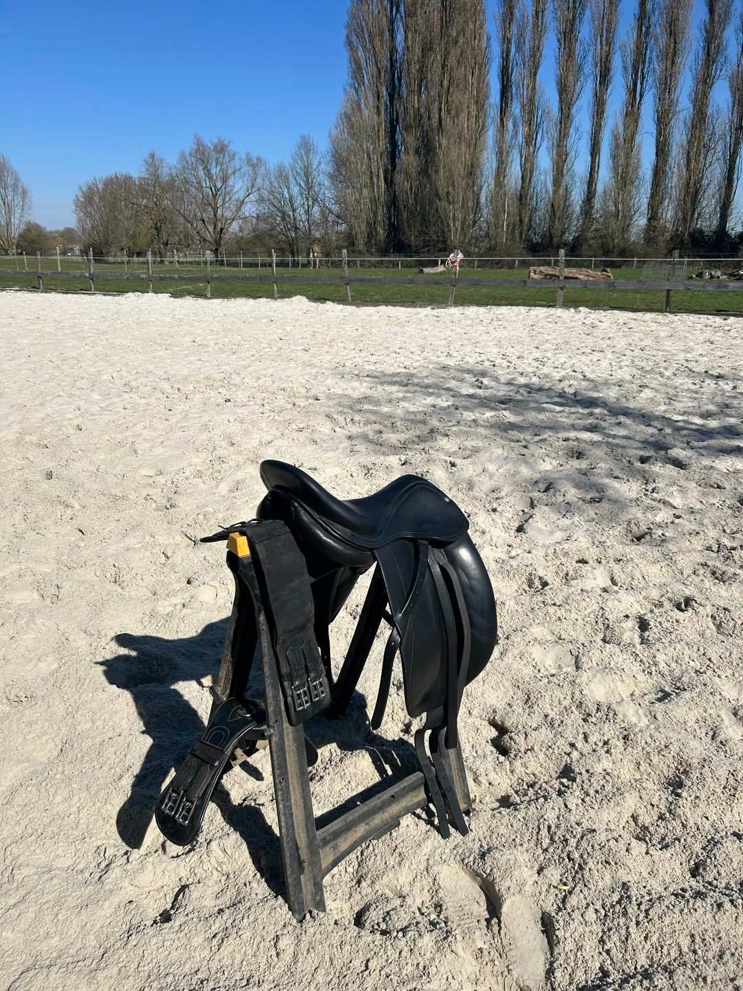 Selle dressage forestier, média 6