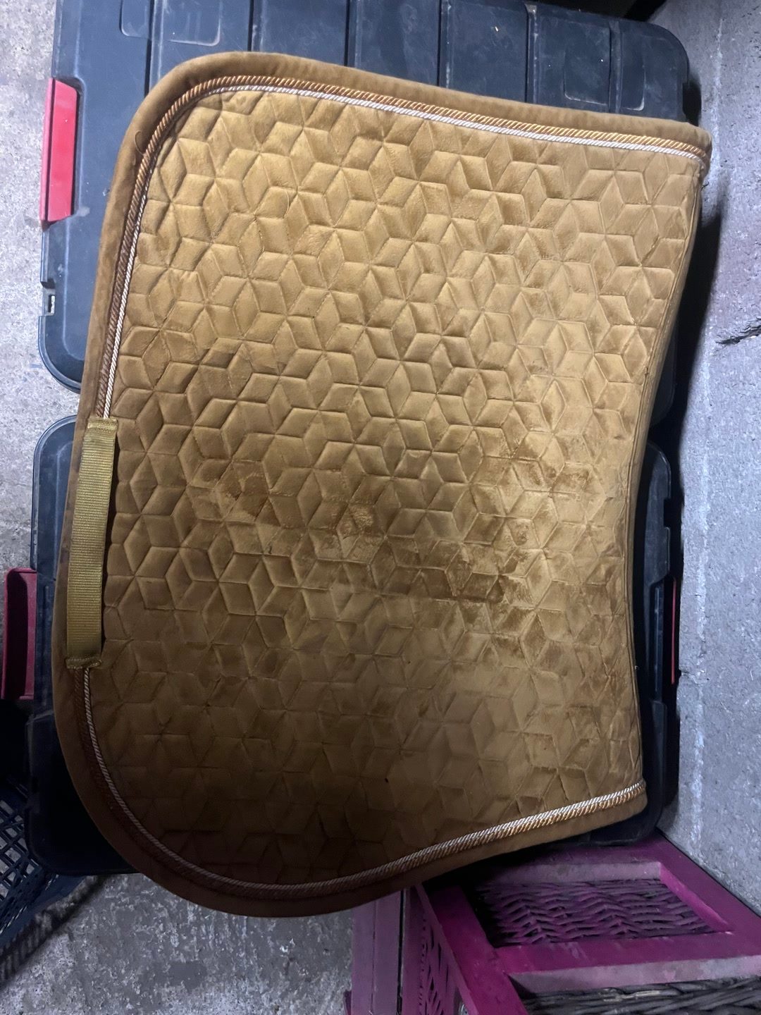 tapis kentucky, média 2