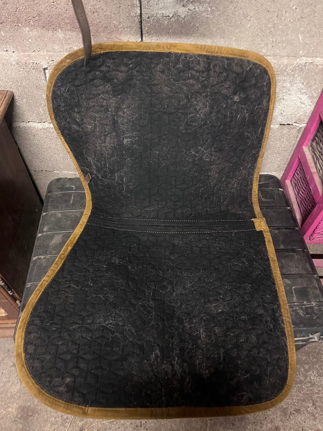 tapis kentucky, média 3