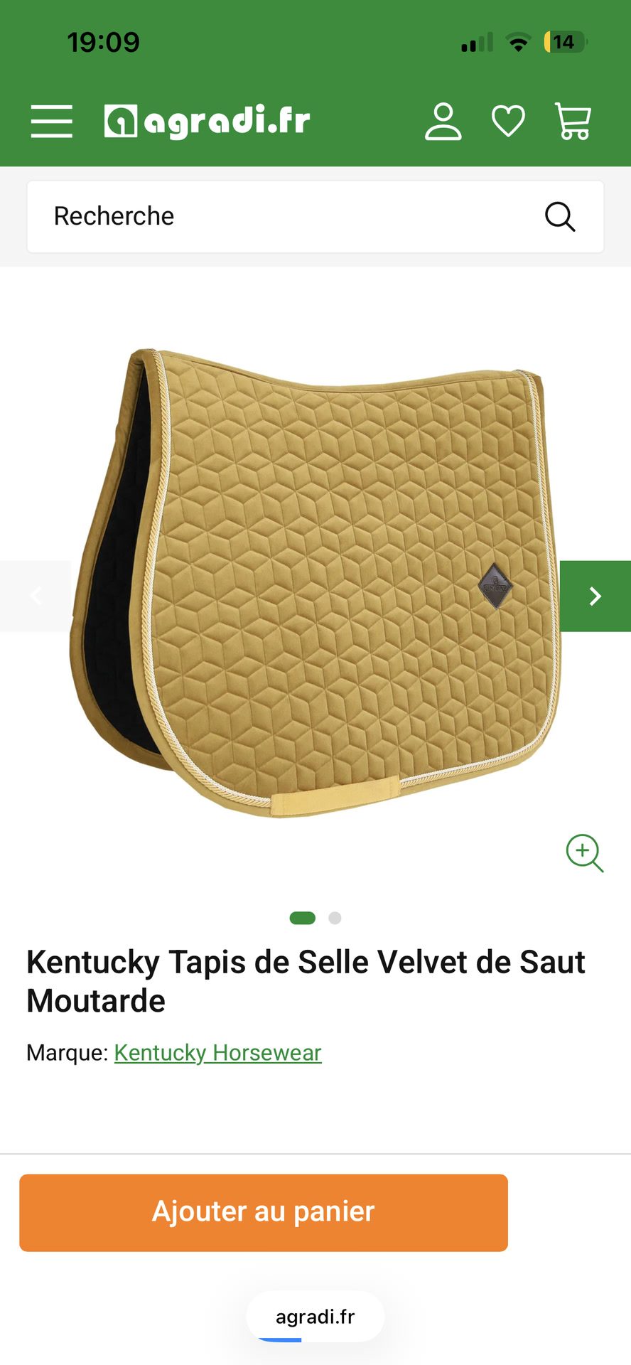 tapis kentucky, média 4