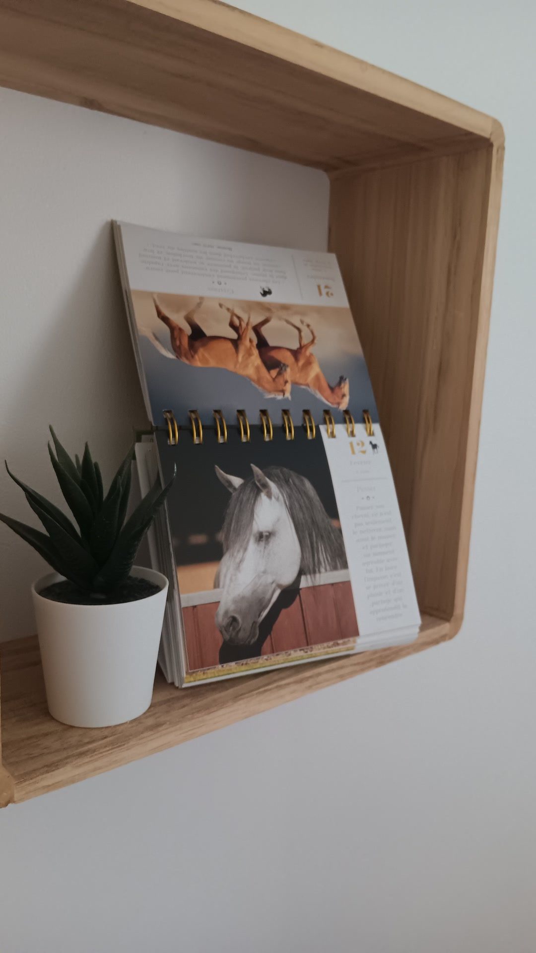 calendrier, média 2