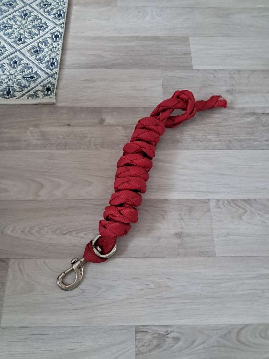 Licol rouge + 1 longe noir + 1 longe rouge, média 2