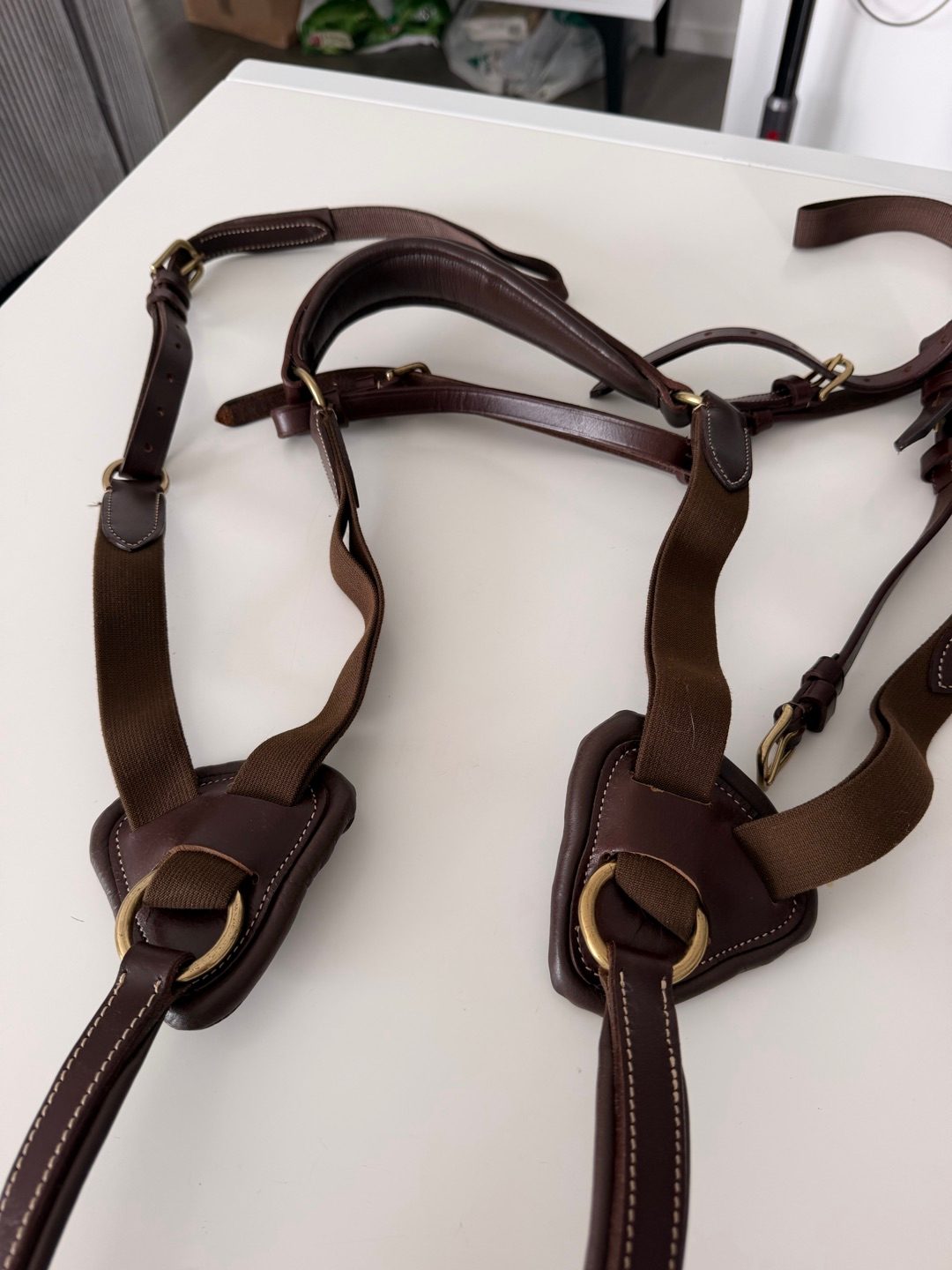 Collier de chasse, média 4