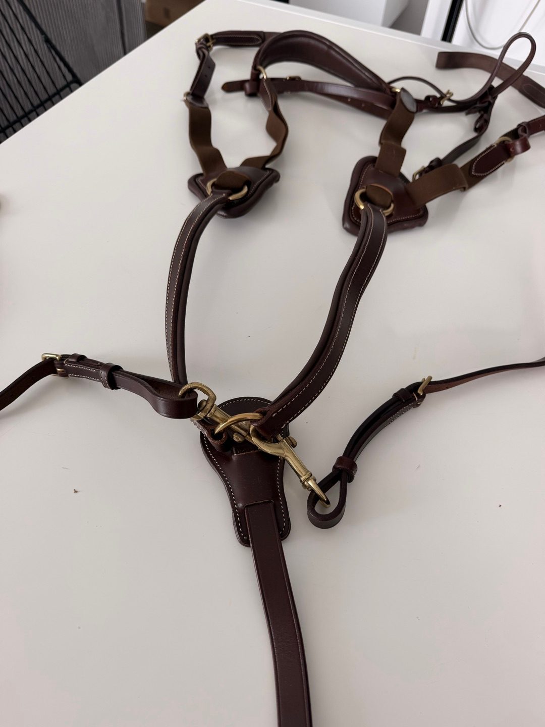 Collier de chasse, média 2