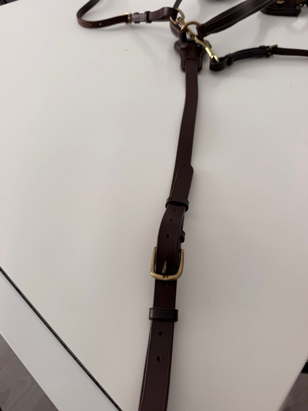 Collier de chasse, média 3