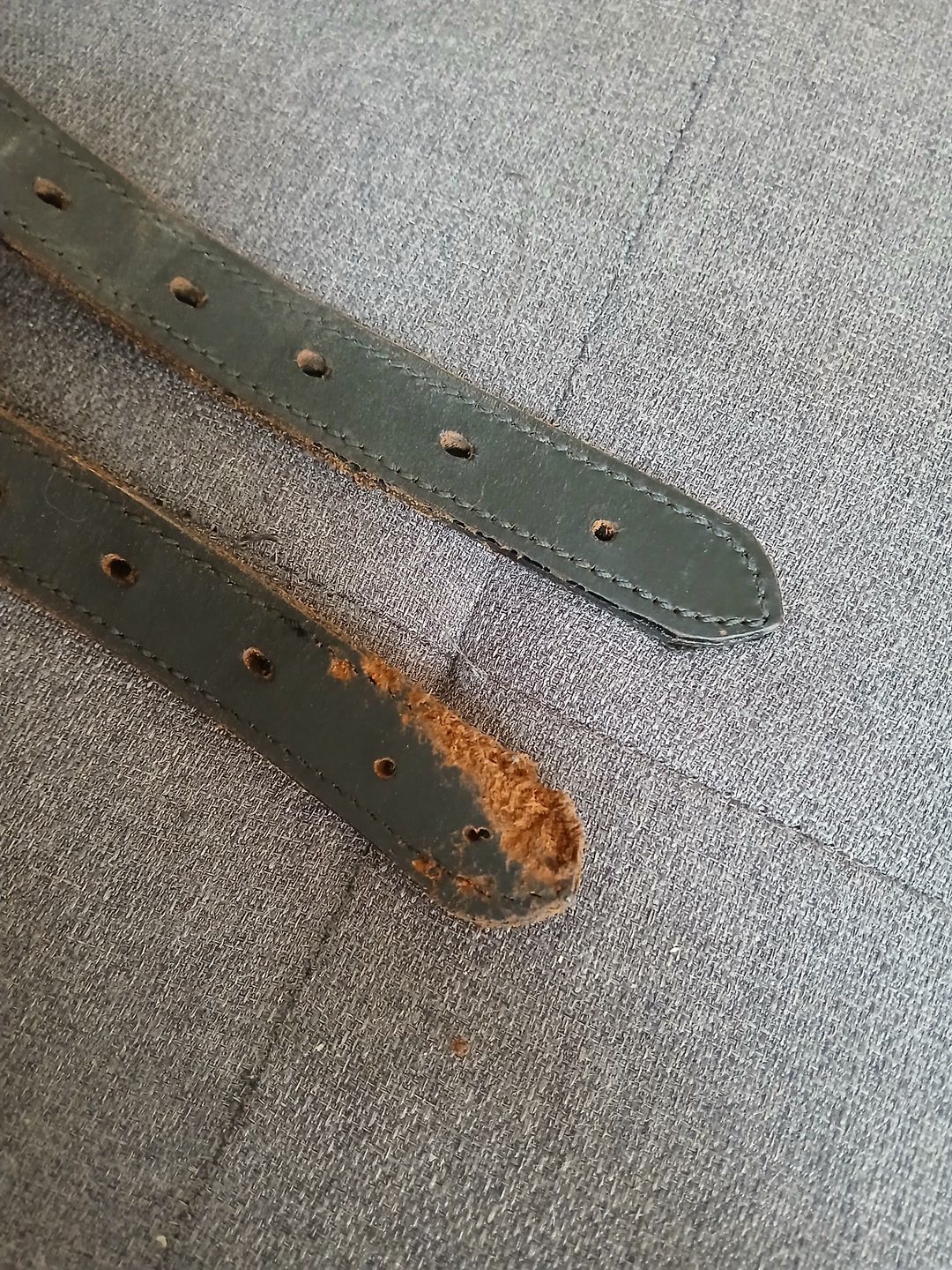 Selle de dressage, média 4