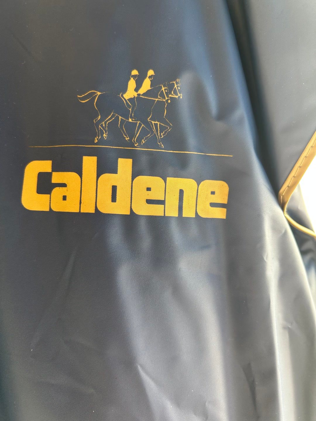 Tenue d’Amazone complète Caldene / Calcutt & Sons – Neuve avec étiquette – Taille 36" (38-40 FR), média 22