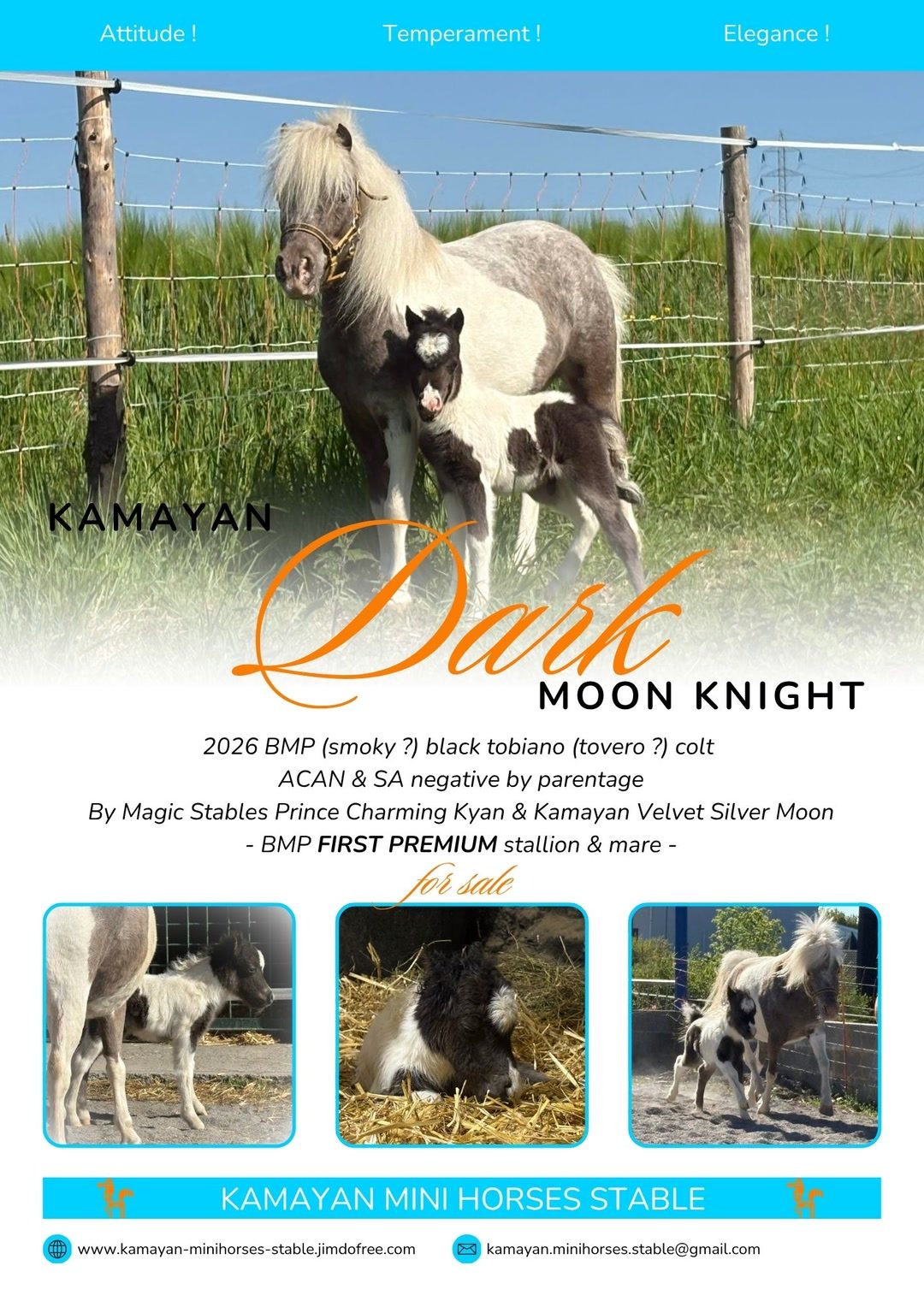 KAMAYAN DARK MOON KNIGHT, média 9