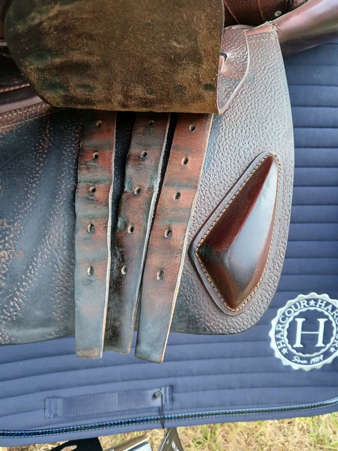 Selle CWD, média 4