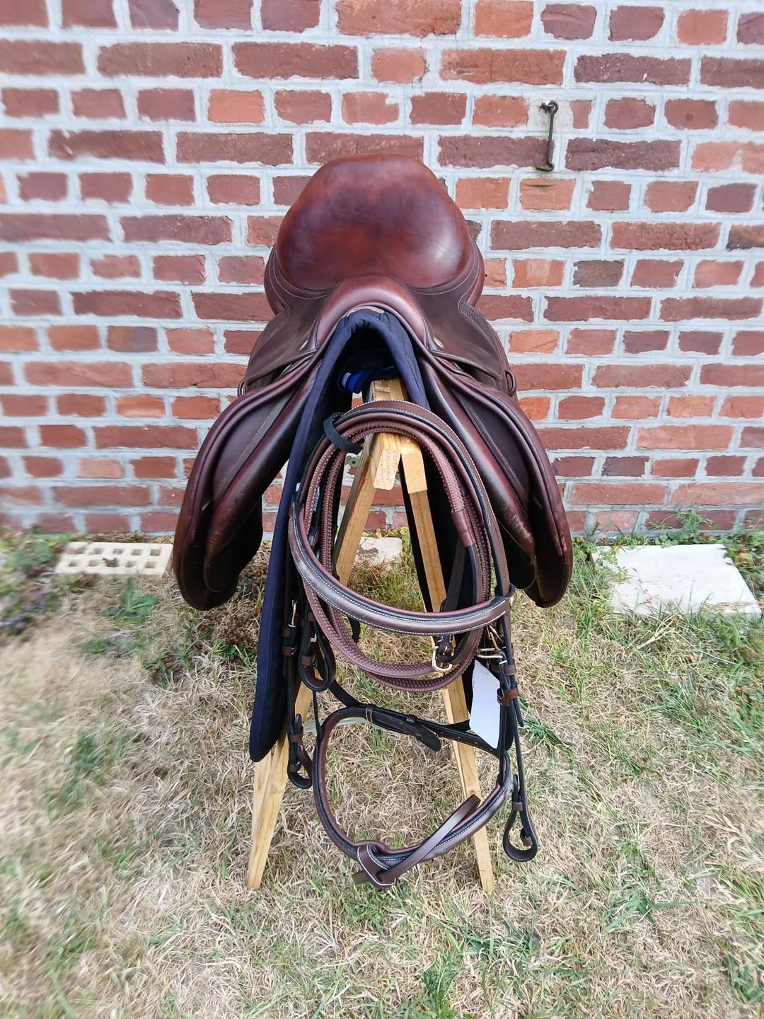 Selle CWD, média 6