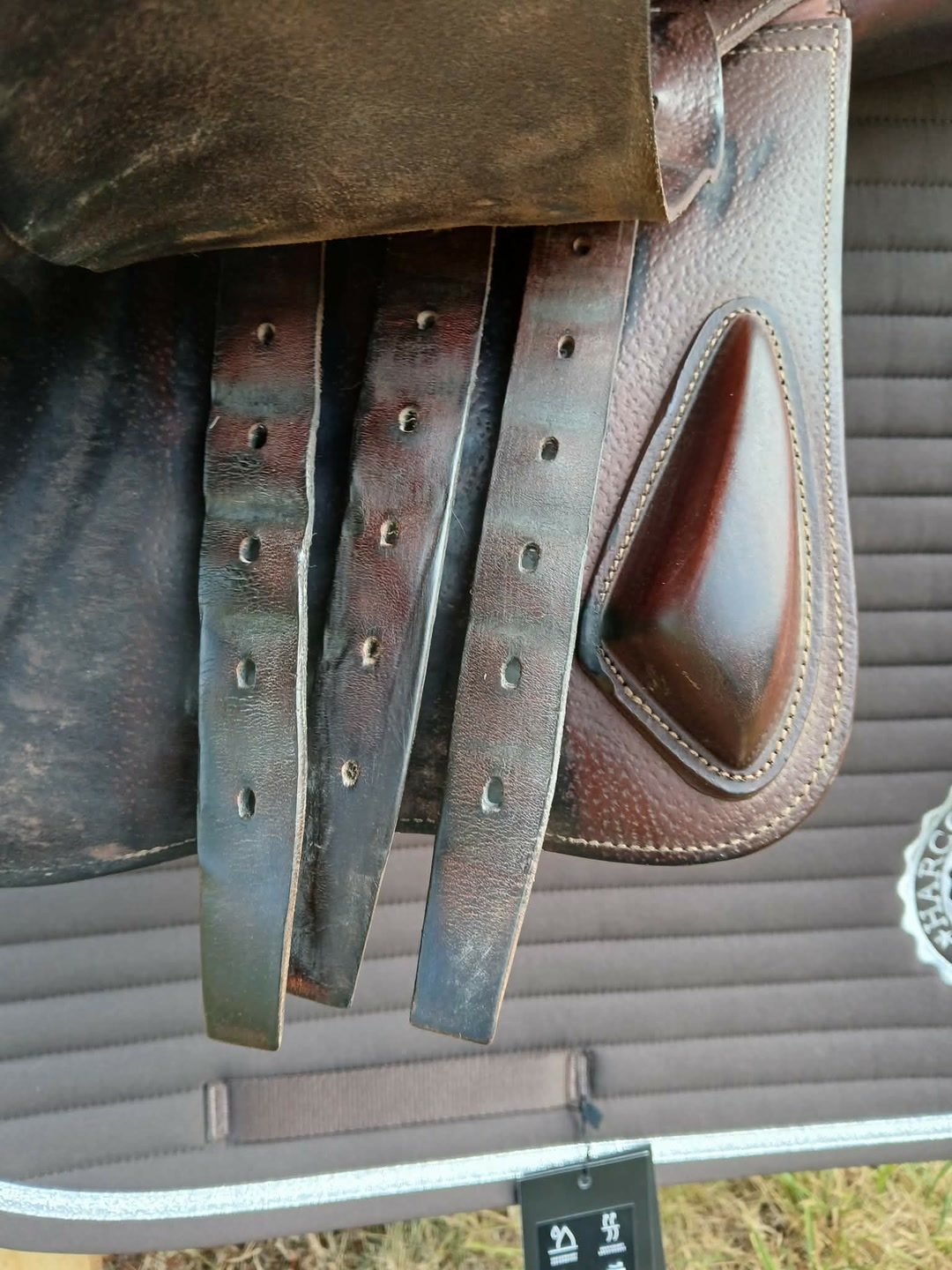 Selle CWD, média 8