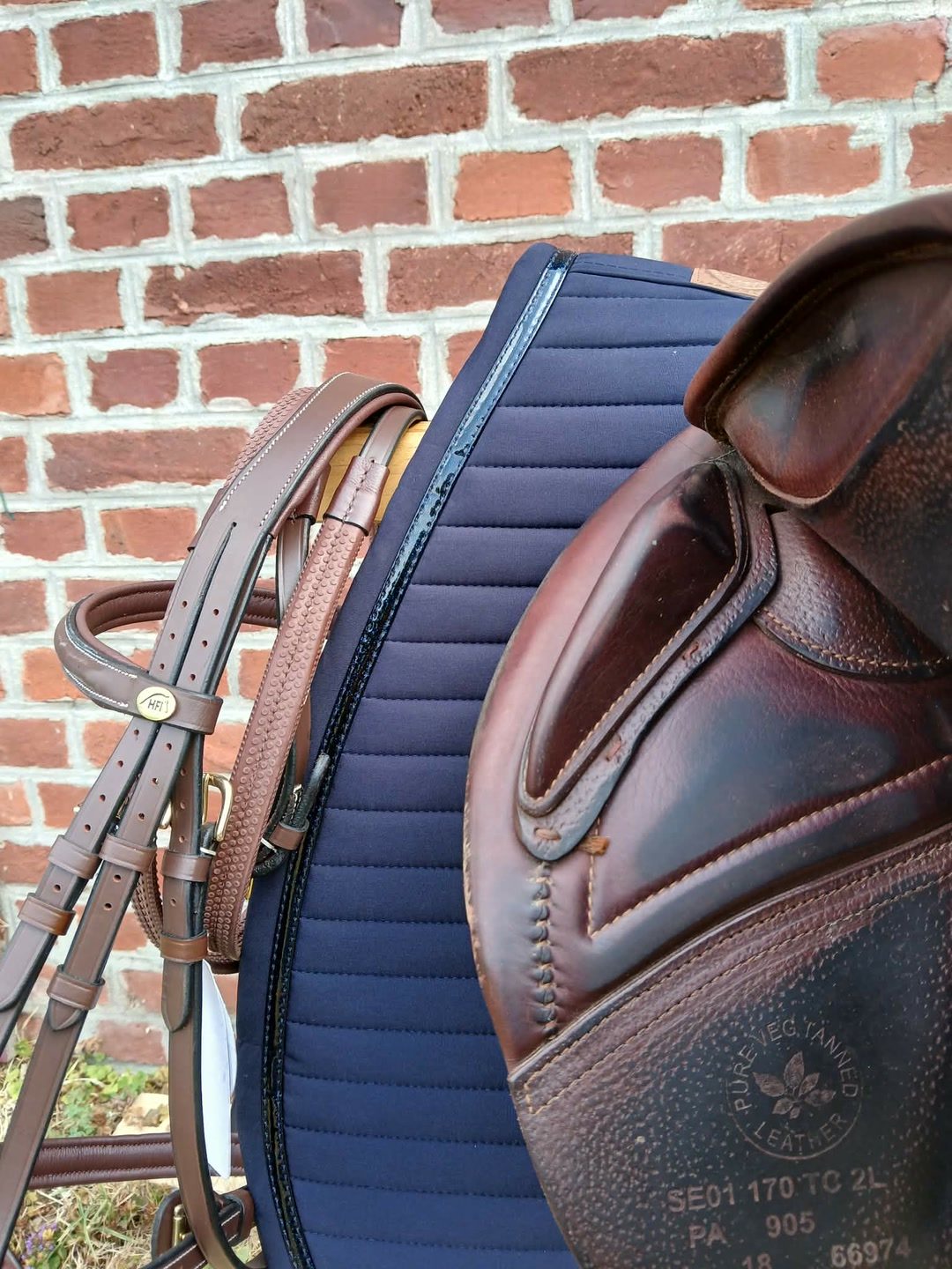 Selle CWD, média 3